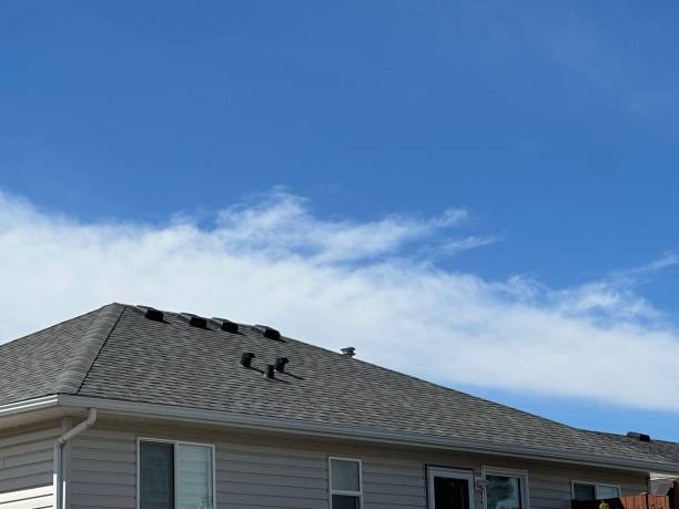 Best Steel Roofing  in Grafton, OH