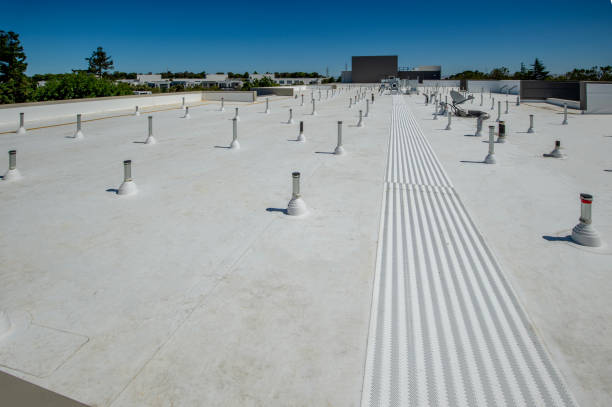 Best 4 Ply Roofing  in Grafton, OH